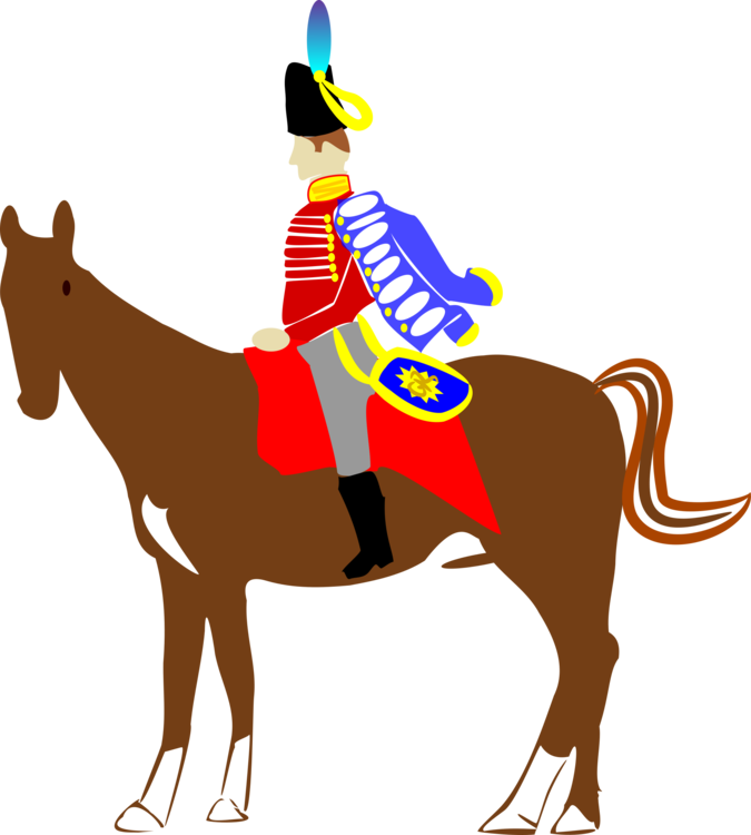 Equestrian Sport,Horse,Jockey