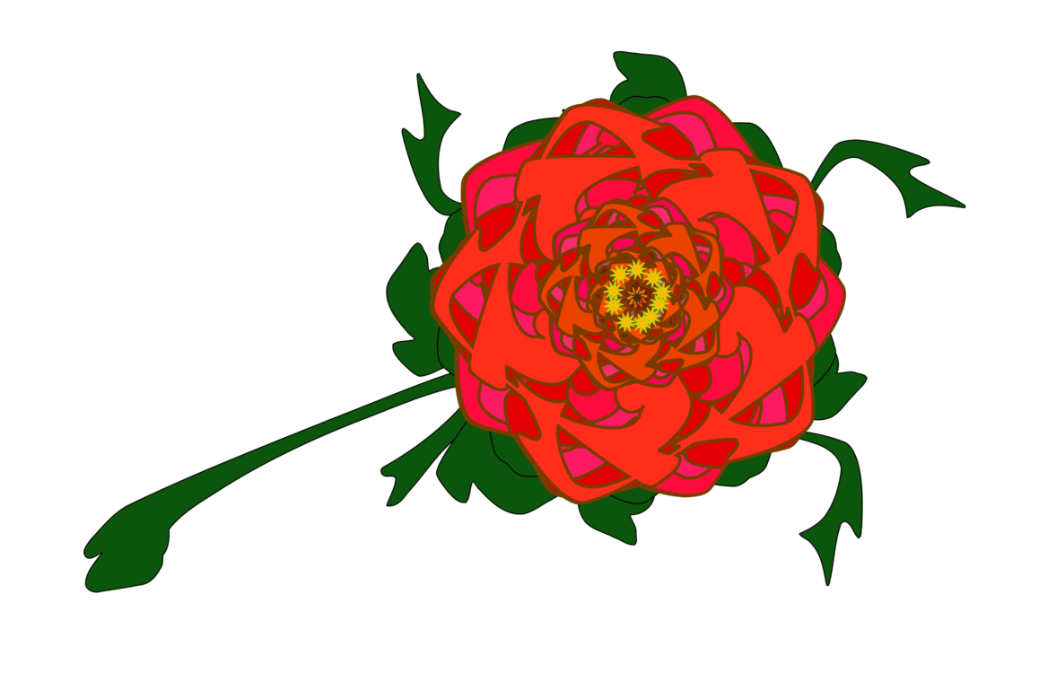 Plant,Flora,Rose