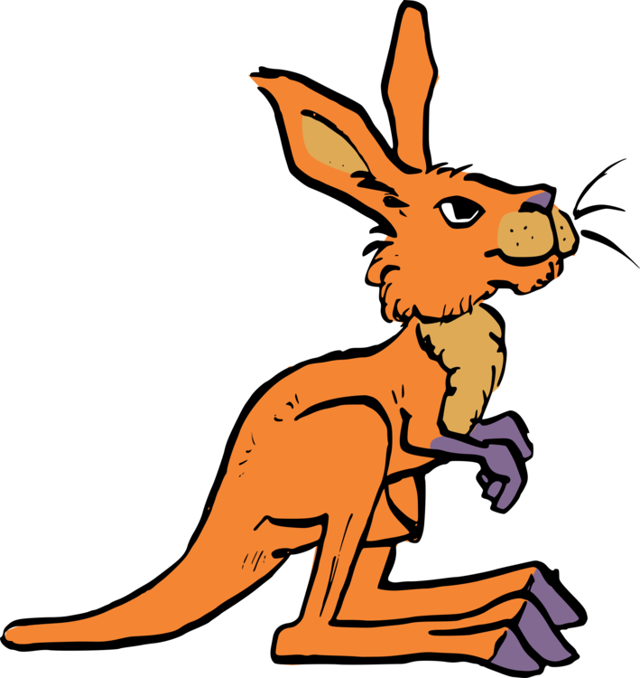 Wildlife,Hare,Kangaroo