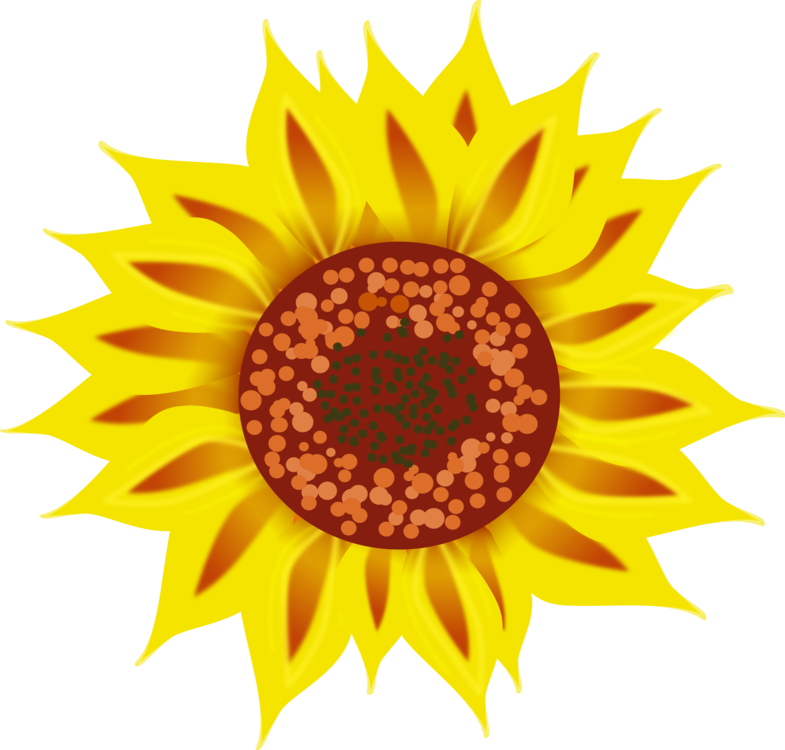Sunflower Seed,Pollen,Plant