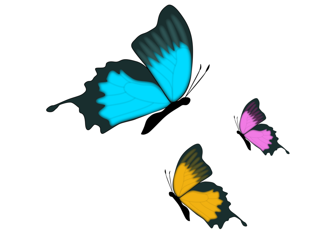 Butterfly,Leaf,Pollinator