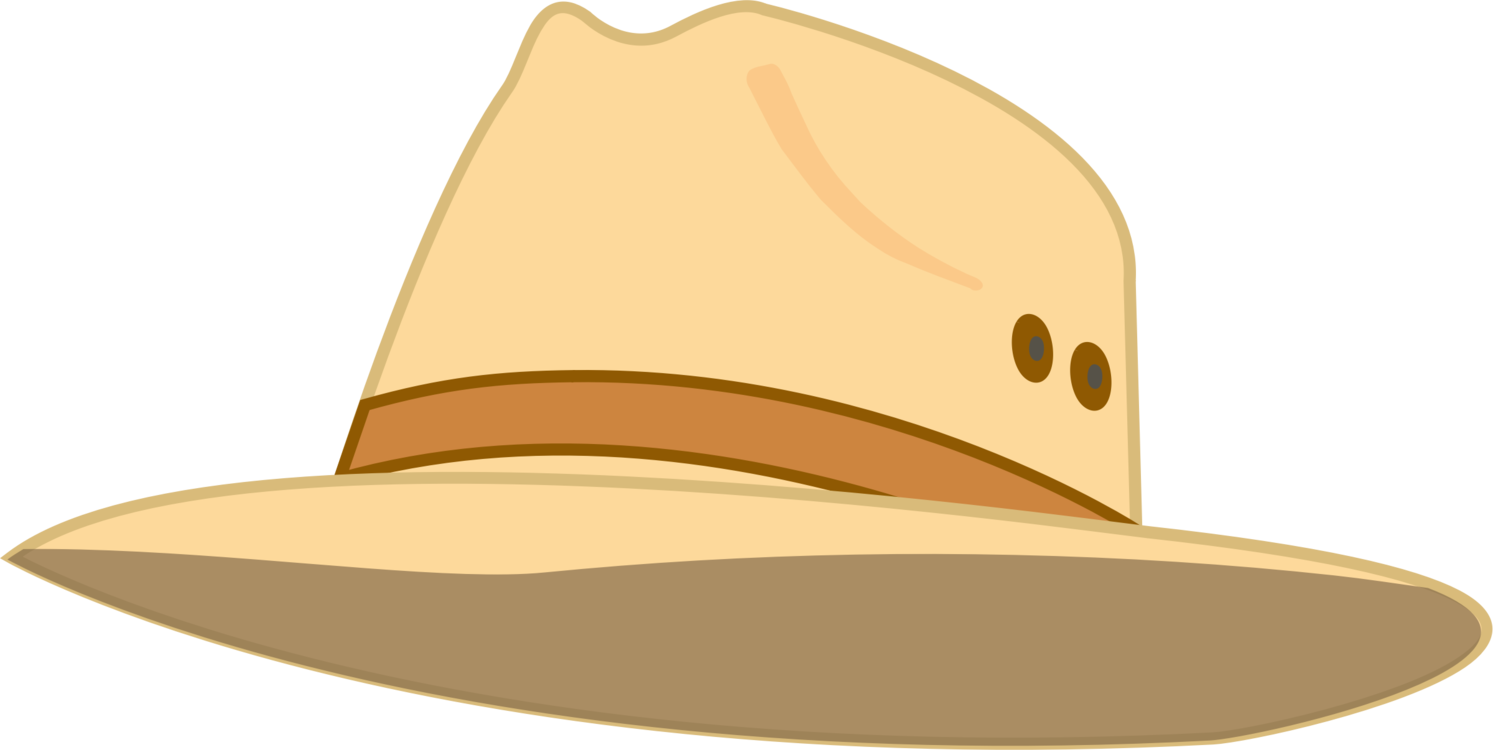 Fedora,Headgear,Cowboy Hat
