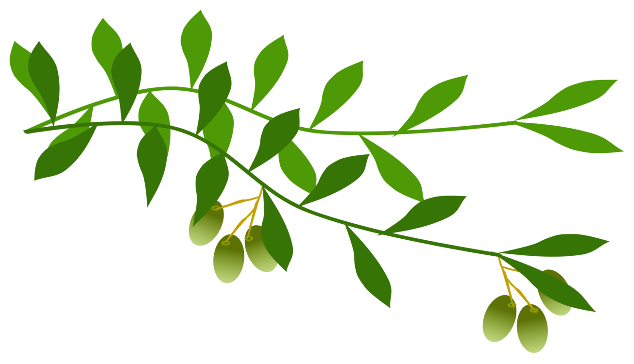 Plant,Twig,Leaf