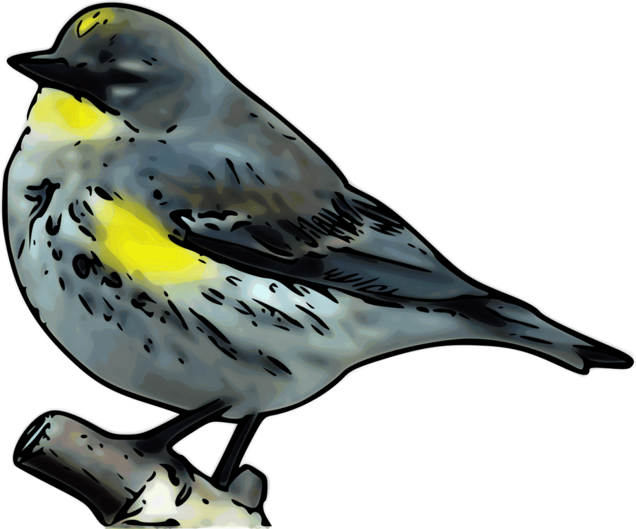Beak,Bird,Emberizidae