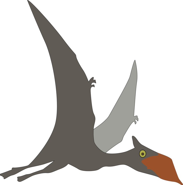 Water Bird,Fictional Character,Wing