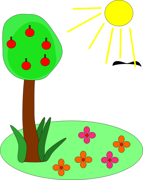 Flora,Leaf,Area