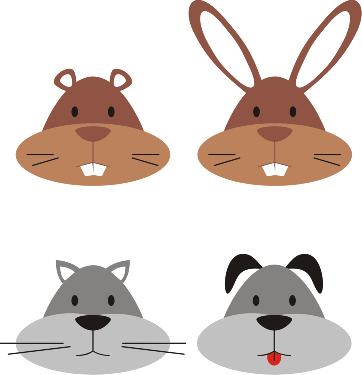 Rodent,Rabits And Hares,Carnivoran