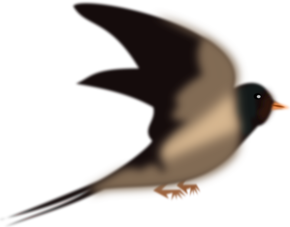 Flightless Bird,Bird,Tail