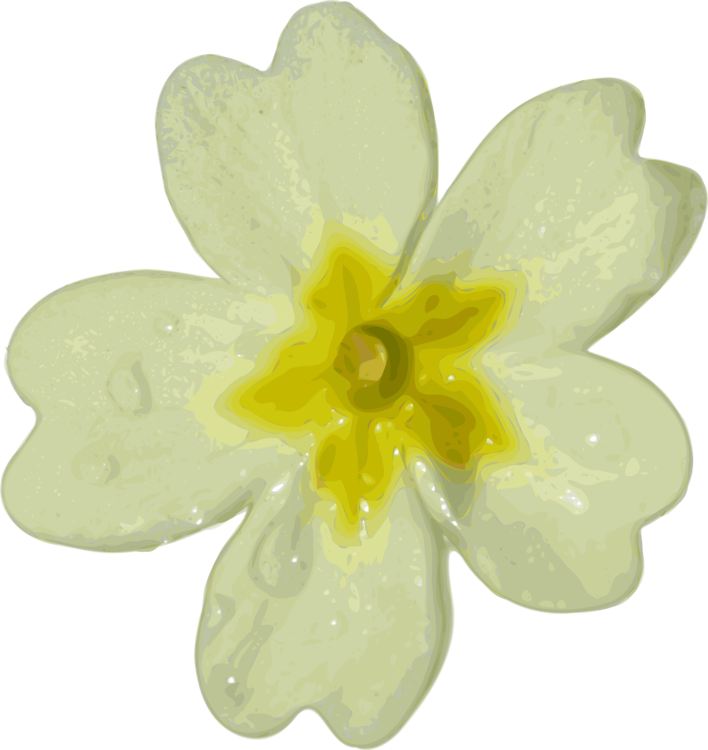 Petal,Flower,Yellow