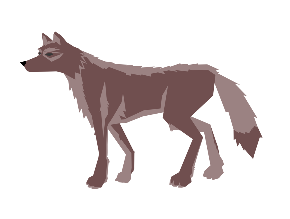 Wildlife,Carnivoran,Red Fox