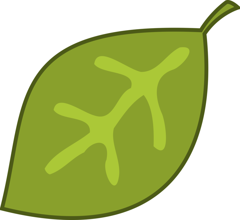 Plant,Leaf,Food