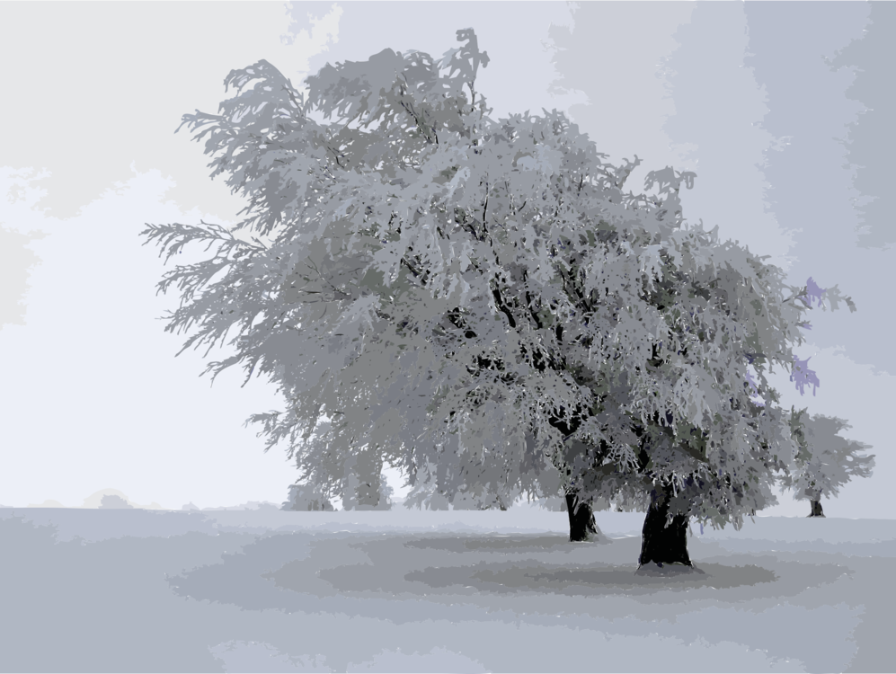 Winter,Blizzard,Tree