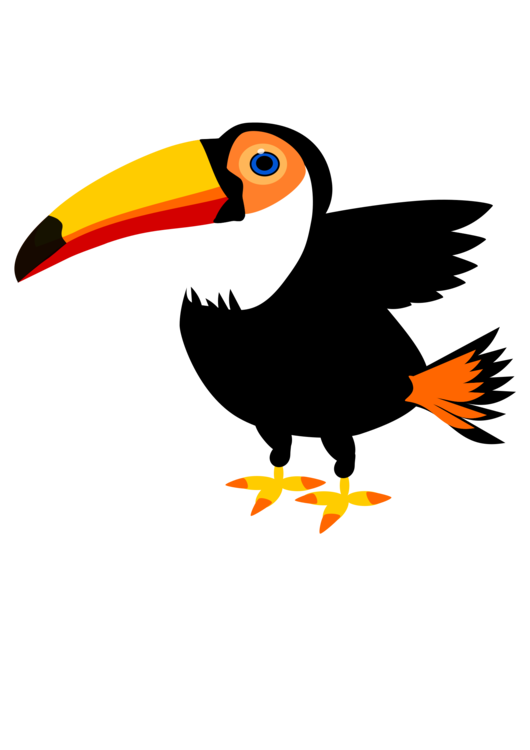 Hornbill,Bird,Toucan