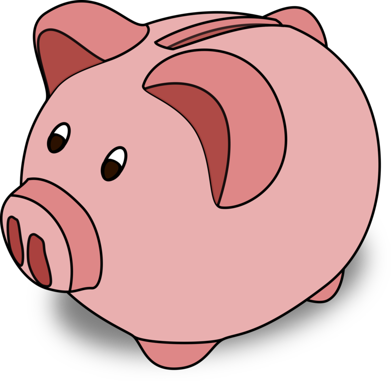 Pink,Piggy Bank,Domestic Pig