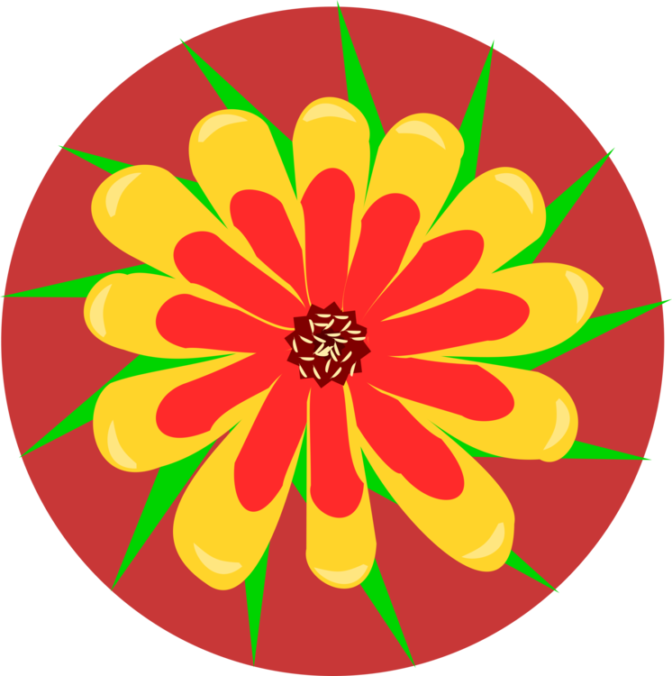 Chrysanths,Flora,Symmetry