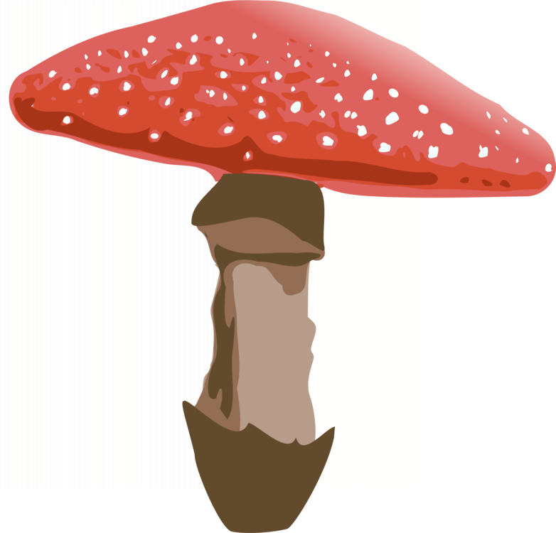 Table,Hat,Mushroom