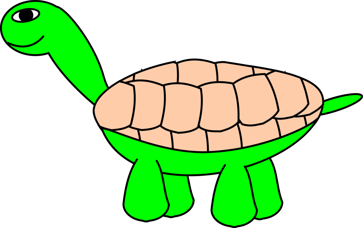 Turtle,Line Art,Reptile