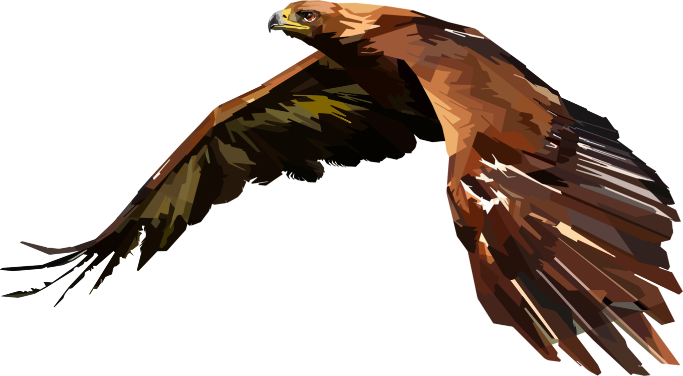 Eagle,Wildlife,Kite
