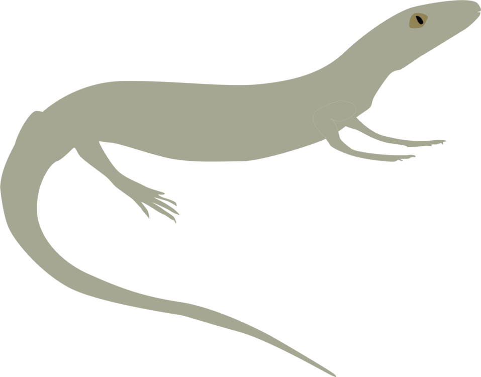 Reptile,Vertebrate,Tail