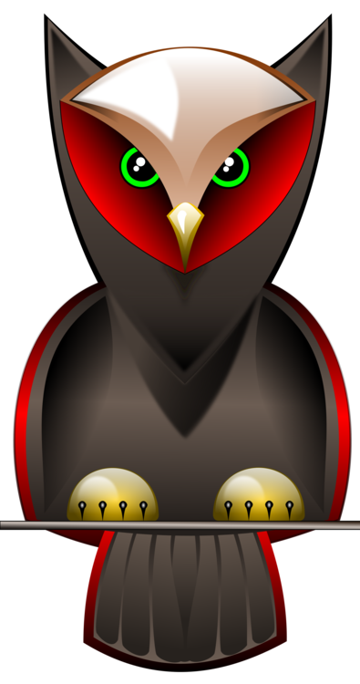 Owl,Vertebrate,Bird Of Prey