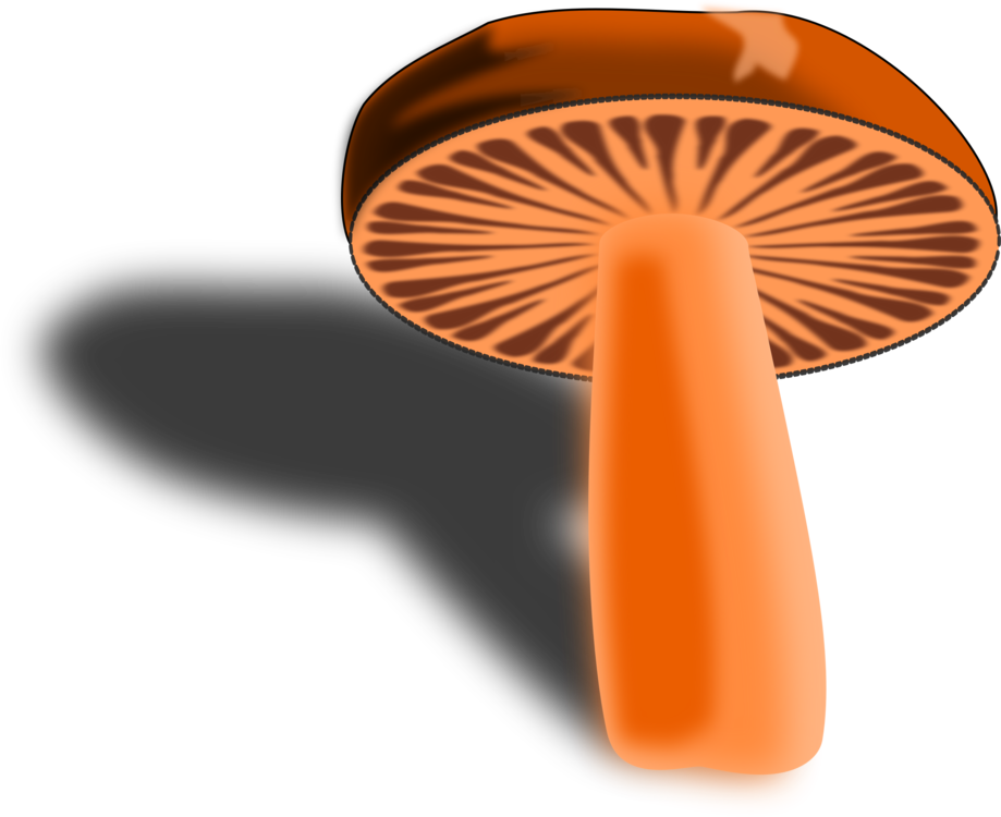 Orange,Computer Icons,Mushroom