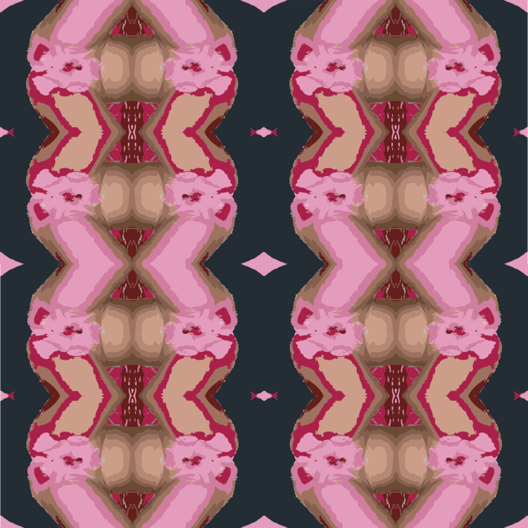 Pink,Symmetry,Flesh