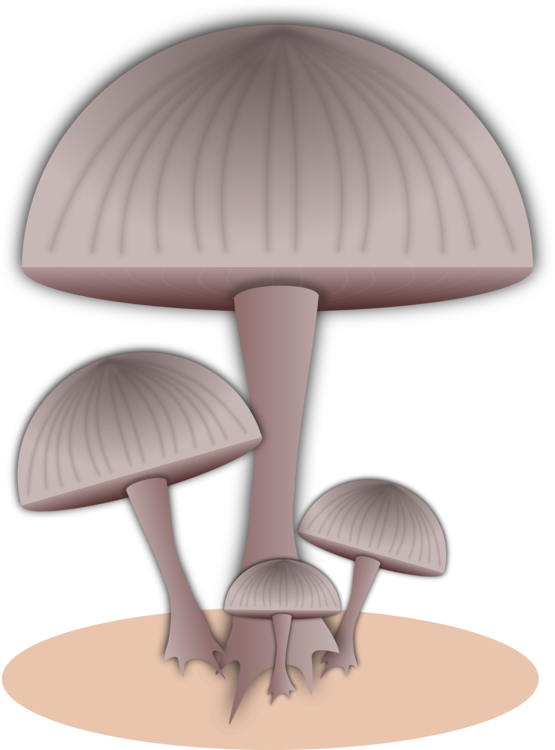 Table,Wood,Mushroom