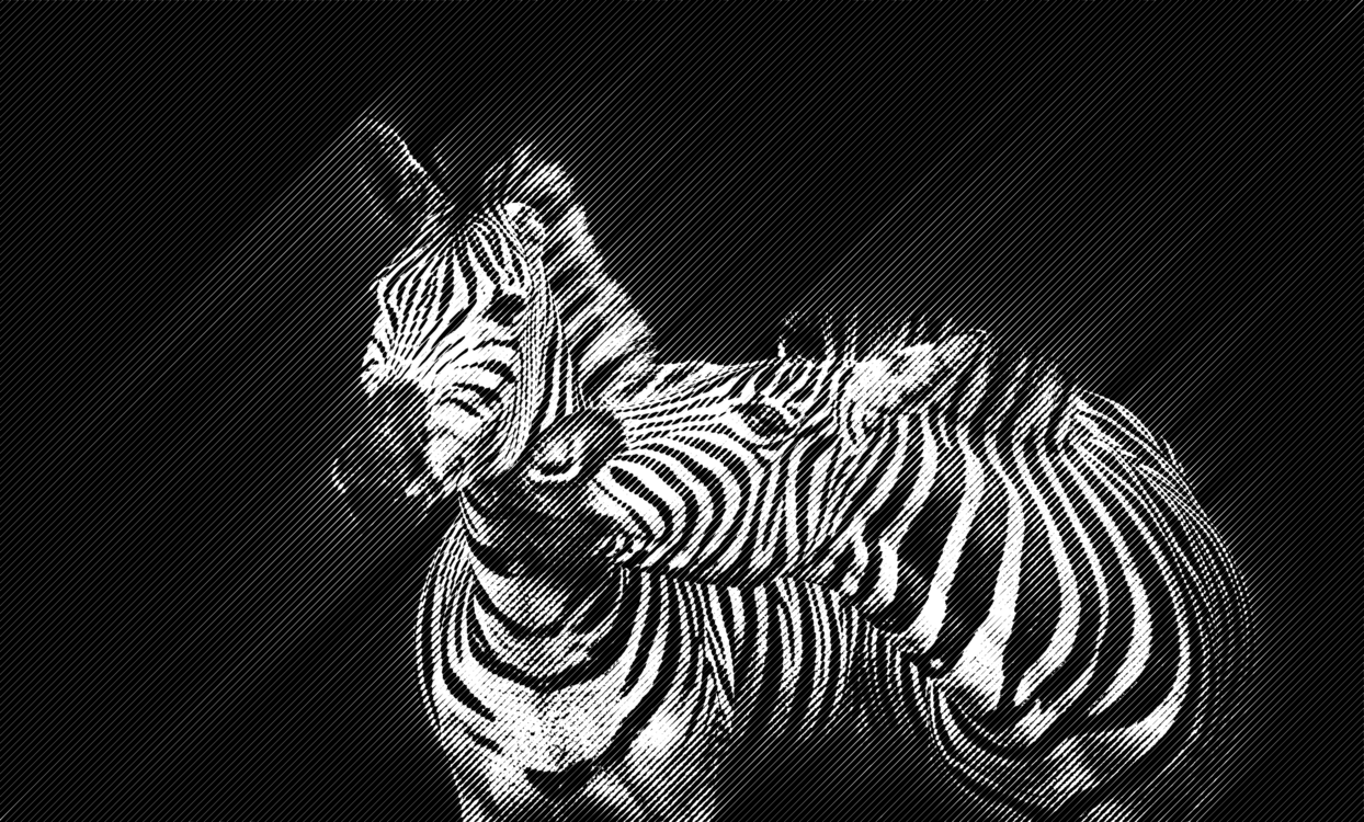 Wildlife,Darkness,Monochrome Photography