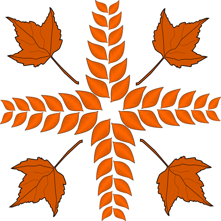 Plant,Leaf,Symmetry