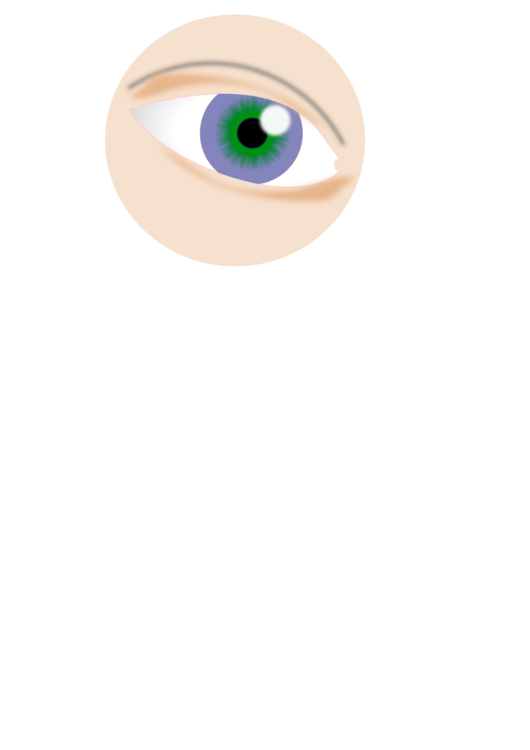 Iris,Eye,Organ