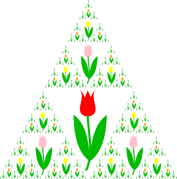Christmas Ornament,Conifer,Flowering Plant