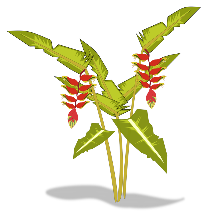 Plant Stem,Plant,Flower