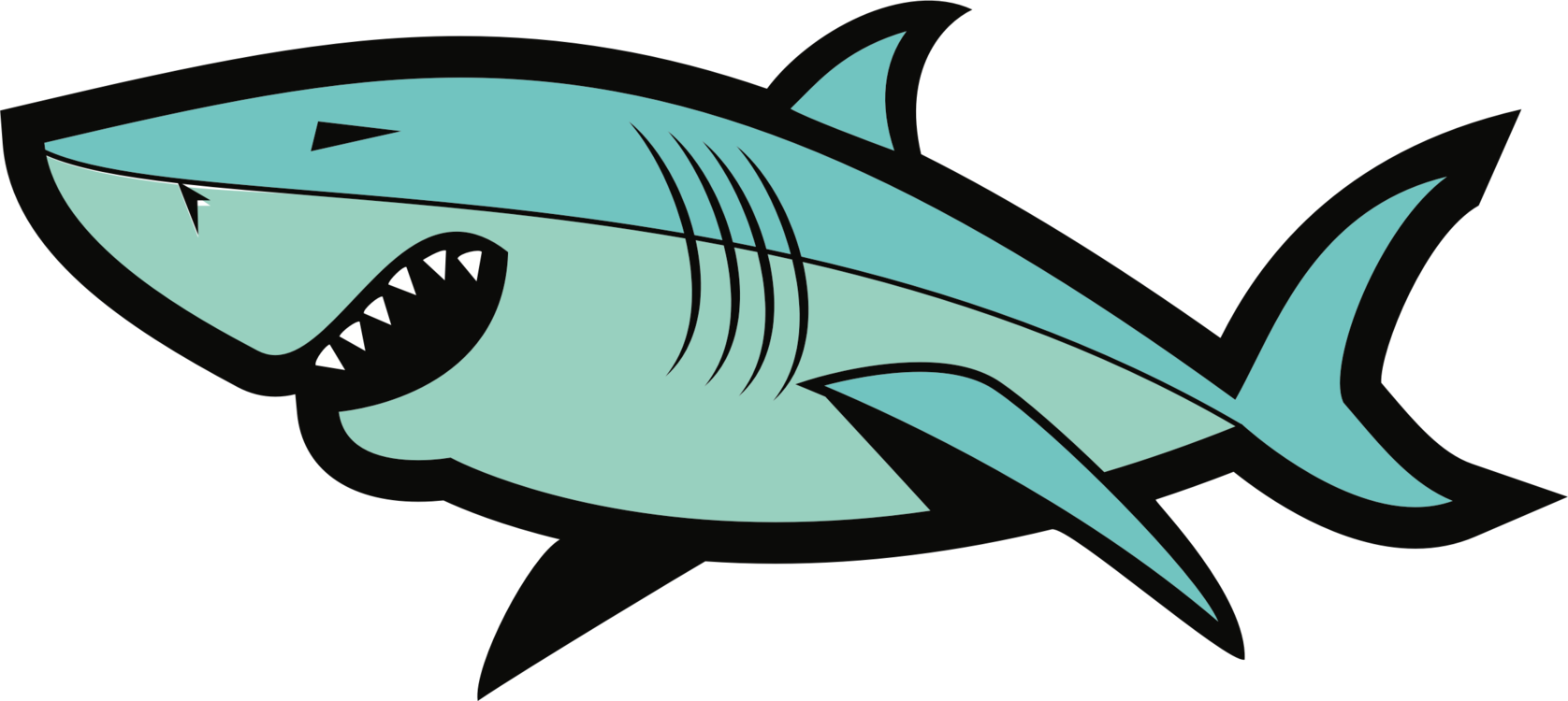 Download Marine Biology,Shark,Fin PNG Clipart - Royalty Free SVG / PNG