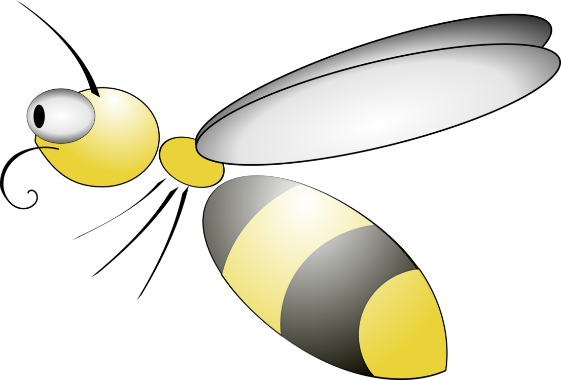 Fly,Honey Bee,Pollinator