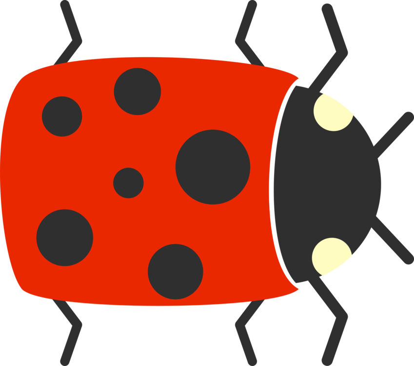 Ladybird,Artwork,Beetle
