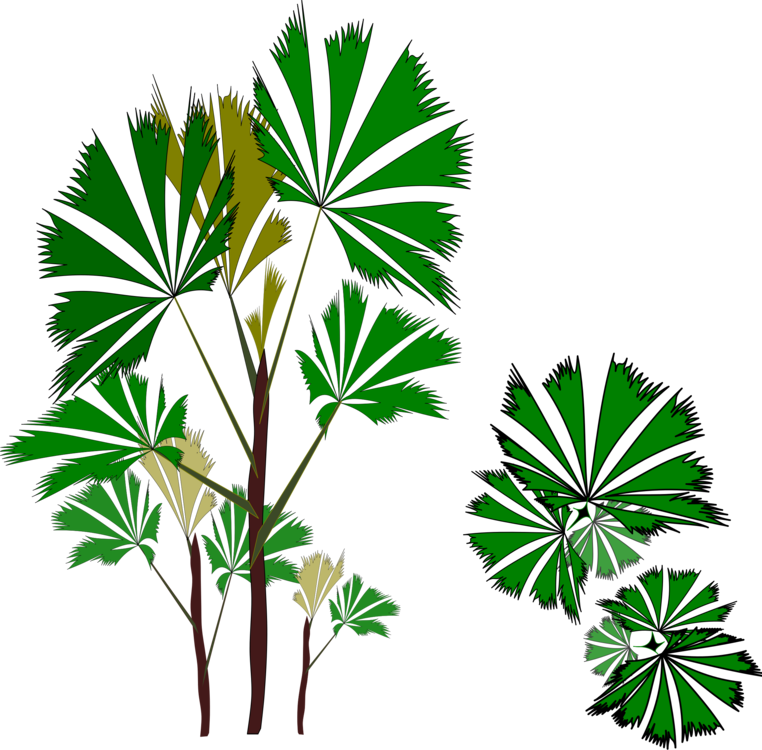 Plant,Flora,Leaf