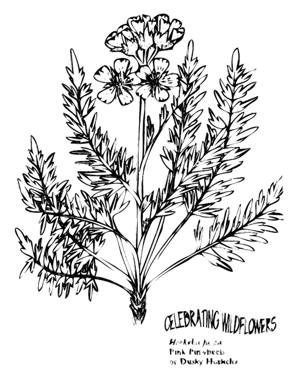 Line Art,Plant,Flora