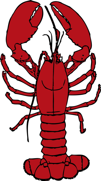 Artwork,Lobster,Line Art PNG Clipart - Royalty Free SVG / PNG