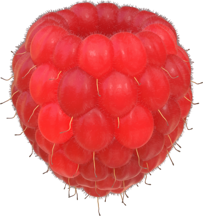 Fruit,Raspberry,Berry