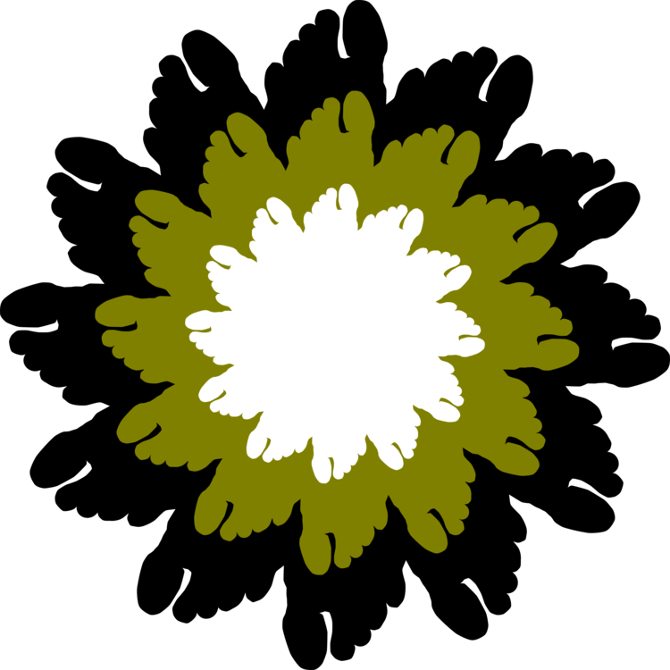 Chrysanths,Plant,Flora