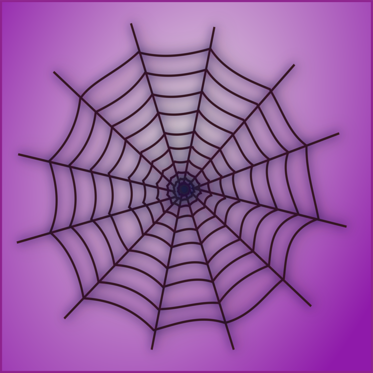Spider Web,Symmetry,Invertebrate