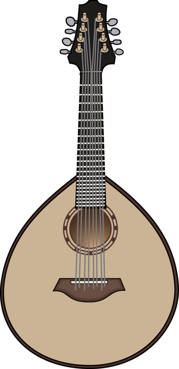 Acoustic Electric Guitar,String Instrument,Acoustic Guitar