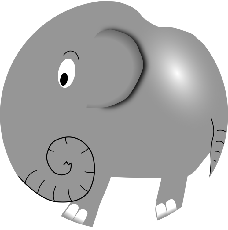 Head,Indian Elephant,Pig