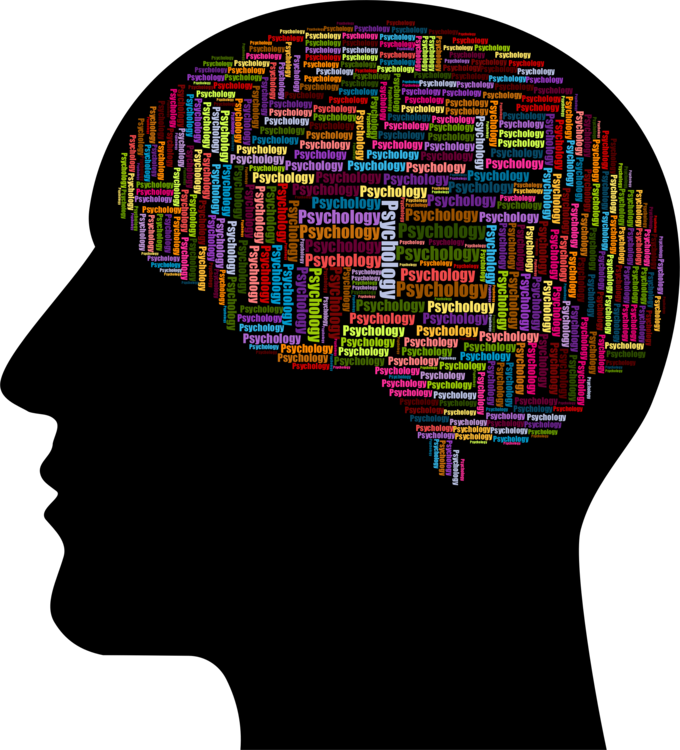 Brain,Organ,Human Behavior PNG Clipart - Royalty Free SVG / PNG