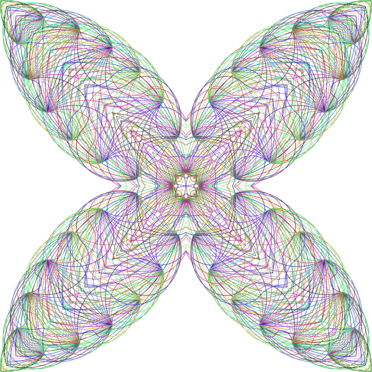 Download Butterfly,Leaf,Symmetry PNG Clipart - Royalty Free SVG / PNG