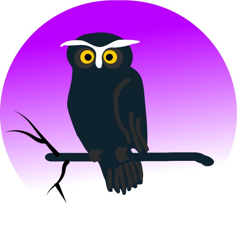 Owl,Purple,Bird Of Prey