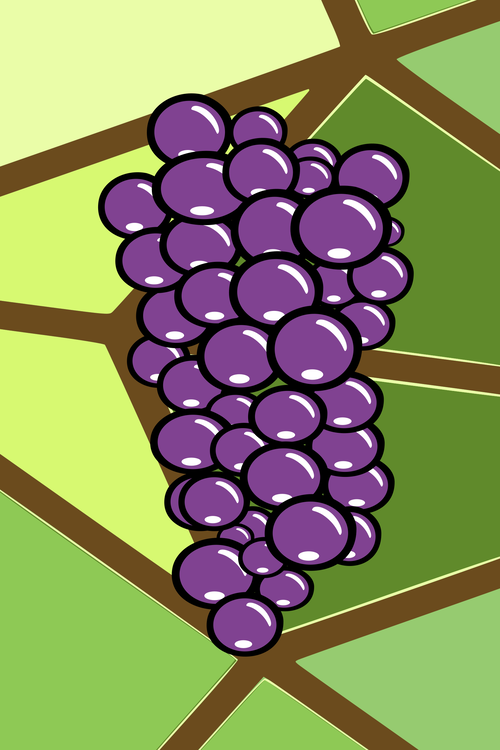 Petal,Grape,Symmetry