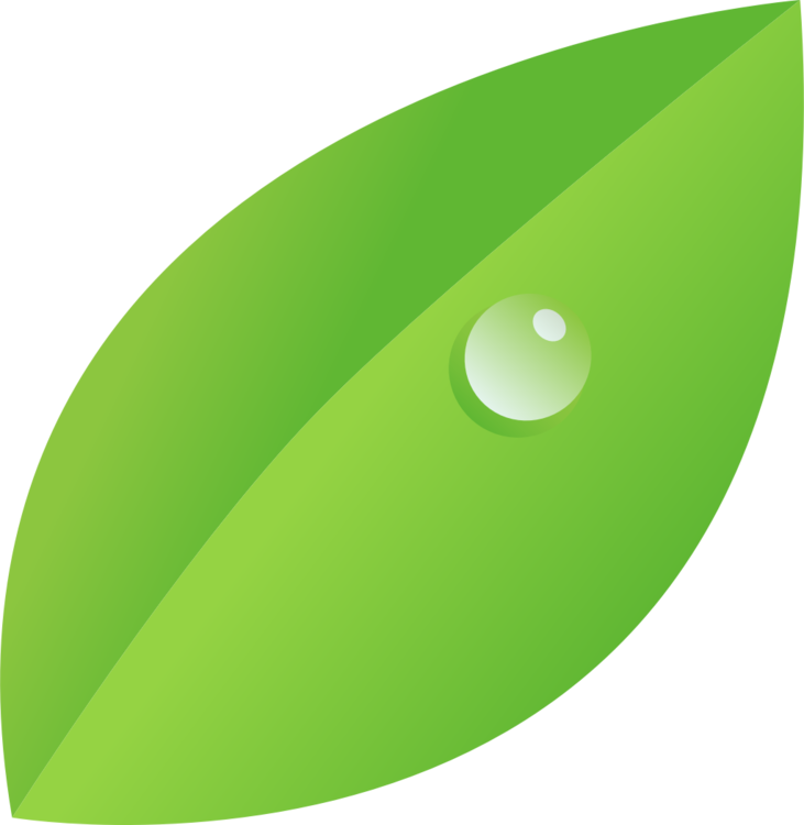 Leaf,Green,Oval