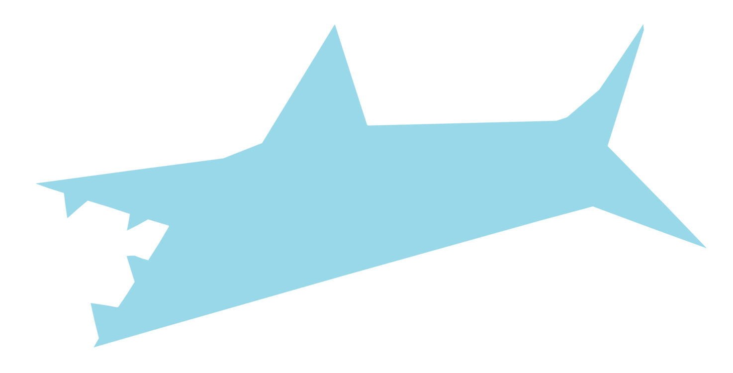 Shark,Angle,Fish