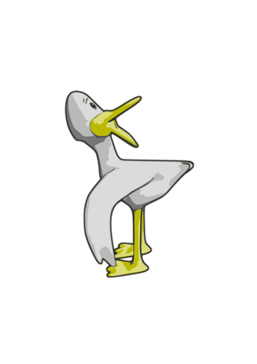 Beak,Yellow,Duck